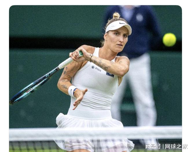 杂的转会经 杂的转会经